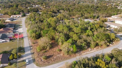 GREAT INVESTMENT PROPERTY! This large corner lot is zoned for 10 - photo 3