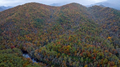 Heavily wooded and a large common boundary with USFS located - photo 4