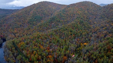 Heavily wooded and a large common boundary with USFS located - photo 5