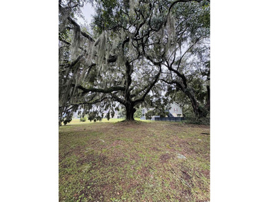Build your coastal retreat in The Oaks at Winyah Bay, a charming - photo 4