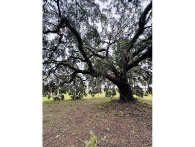 Build your coastal retreat in The Oaks at Winyah Bay, a charming - photo 5
