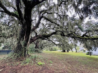Build your coastal retreat in The Oaks at Winyah Bay, a charming - photo 6