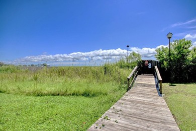 Build your coastal retreat in The Oaks at Winyah Bay, a charming - photo 9