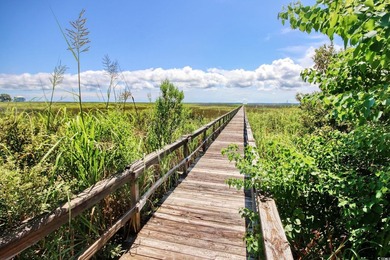 Build your coastal retreat in The Oaks at Winyah Bay, a charming - photo 10