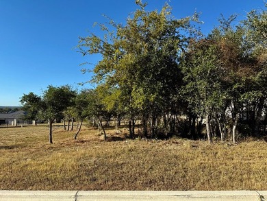 Stunning single-family lot with mature trees and a prime - photo 6