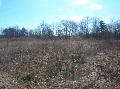 Lake Lot For Sale in Ithaca, New York