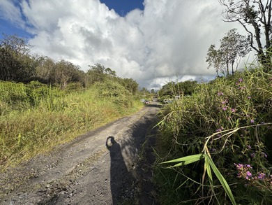 Enjoy cool climates of Mt. View, in this established - photo 2