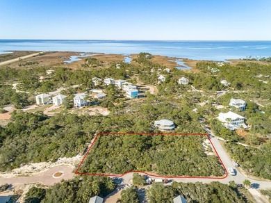 Rare X Flood Zone first tier lot, flood insurance not required! - photo 3