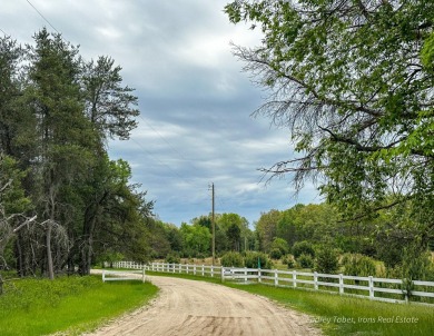 Lake Home For Sale in Irons, Michigan