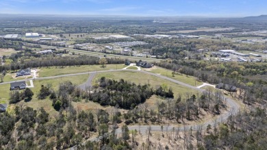 Lake Lot For Sale in Russellville, Arkansas
