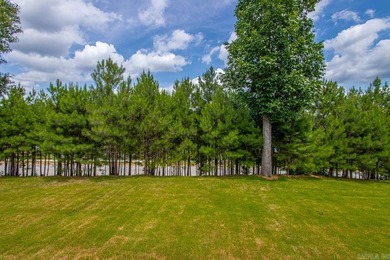 Experience contemporary living in this stunning custom-built - photo 41
