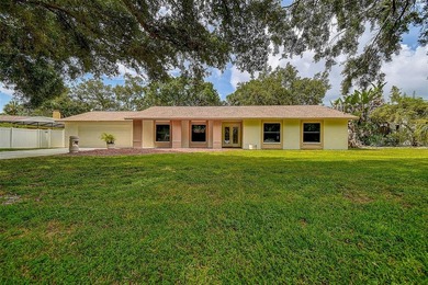 Oversized lot, rare to find in Tampa! Welcome to this stunning - photo 1