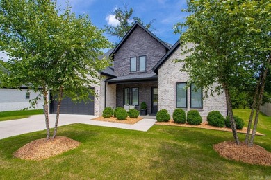 Experience contemporary living in this stunning custom-built - photo 42
