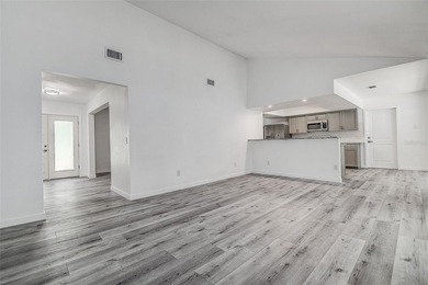 Oversized lot, rare to find in Tampa! Welcome to this stunning - photo 8