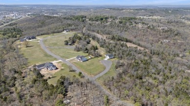 Lake Lot For Sale in Russellville, Arkansas