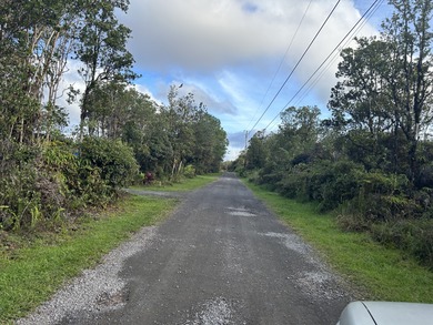 THIS UNSPOILED 3 ACRES OF NATIVE HAWAIIAN FOREST IS THE PERFECT - photo 4