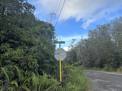 THIS UNSPOILED 3 ACRES OF NATIVE HAWAIIAN FOREST IS THE PERFECT - photo 5