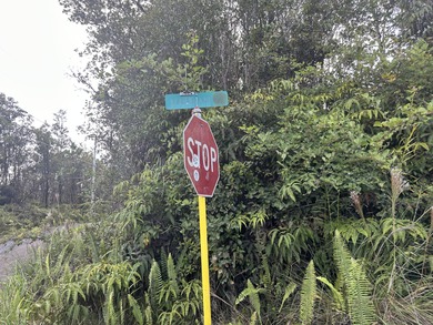 THIS UNSPOILED 3 ACRES OF NATIVE HAWAIIAN FOREST IS THE PERFECT - photo 7