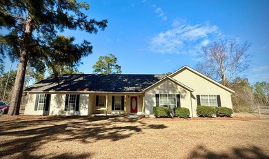 (private lake, pond, coastal) Home For Sale in Hazlehurst Georgia