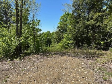 Merrill Pond - Penobscot County Lot For Sale in Lee Maine