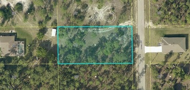 Lehigh Acres Area Lot For Sale in Lehigh Acres Florida