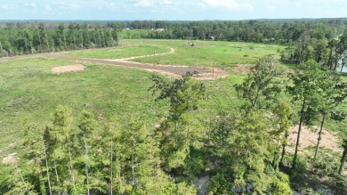 Lake Lot For Sale in Florien, Louisiana