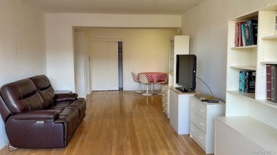 This spacious bright one bedroom one bathroom corner Co-op unit - photo 5