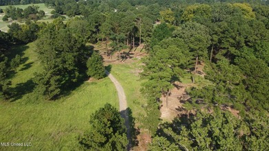 12.02 acre development opportunity on the Annandale Golf Course! - photo 11