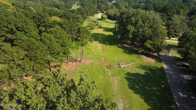 12.02 acre development opportunity on the Annandale Golf Course! - photo 12