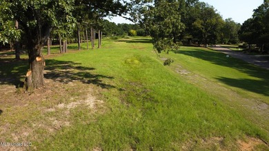 12.02 acre development opportunity on the Annandale Golf Course! - photo 13