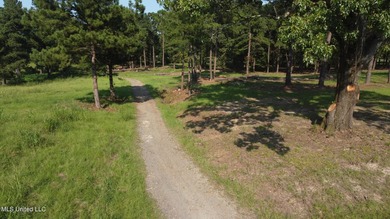 12.02 acre development opportunity on the Annandale Golf Course! - photo 14