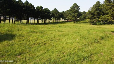 12.02 acre development opportunity on the Annandale Golf Course! - photo 15
