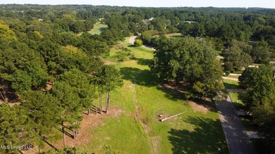 12.02 acre development opportunity on the Annandale Golf Course! - photo 16