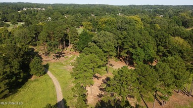 12.02 acre development opportunity on the Annandale Golf Course! - photo 17