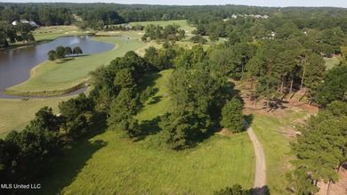 12.02 acre development opportunity on the Annandale Golf Course! - photo 18