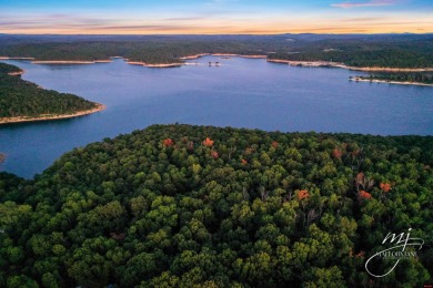 Norfork Lake Lot For Sale in Elizabeth Arkansas