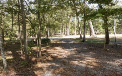 Sante Fe River - Columbia County Lot For Sale in Branford Florida