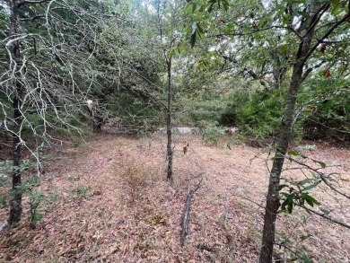 Lake Acreage For Sale in Klondike, Texas