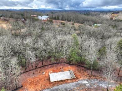 Toccoa River Acreage For Sale in Mineral Bluff Georgia