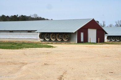 This turnkey modern Poultry Breeder Egg built in 2017 has - photo 6