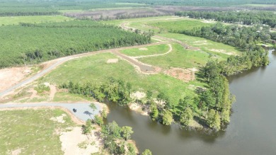 Lake Lot For Sale in Florien, Louisiana