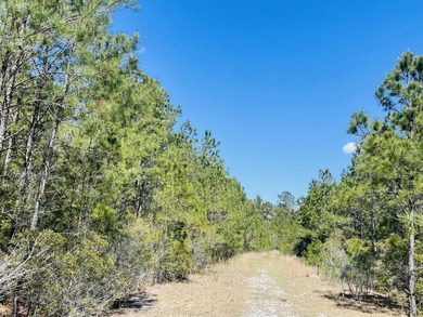 (private lake, pond, coastal) Acreage For Sale in Shallotte North Carolina