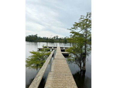 Lake Lot For Sale in Florien, Louisiana