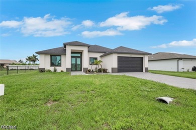 NO FLOOD ZONE! Brand-new construction featuring impact-resistant - photo 1