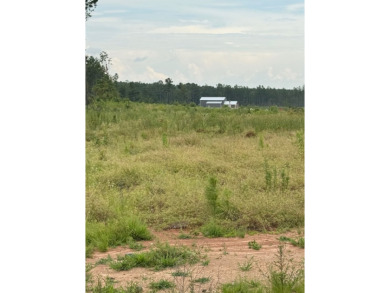 Lake Lot For Sale in Florien, Louisiana