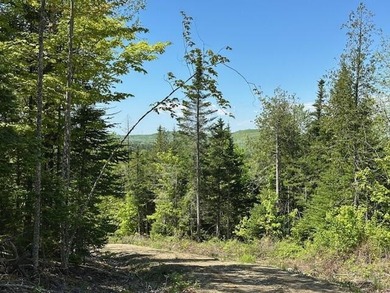 Merrill Pond - Penobscot County Lot For Sale in Lee Maine