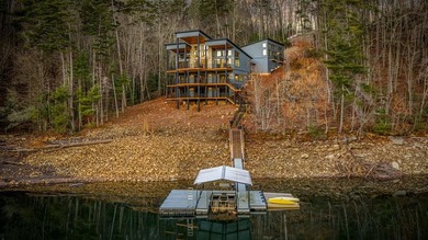 Lake Blue Ridge Home For Sale in Blue Ridge Georgia