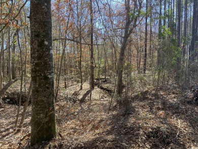 (private lake, pond, creek) Acreage For Sale in Texarkana Arkansas