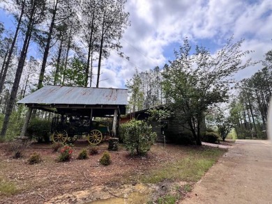 Lake Home For Sale in Double Springs, Alabama