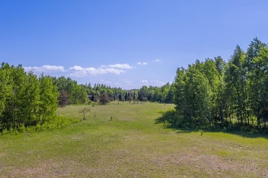 Take advantage of this rare opportunity to own acreage and lake - photo 6